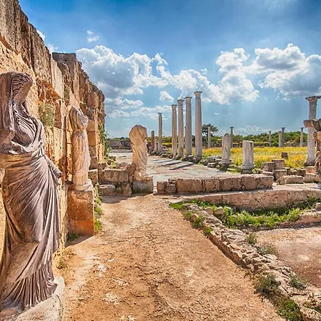 Mimoza Seafront Hotel & Beach Hotel