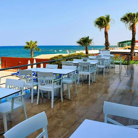 Mimoza Seafront Hotel & Beach ホテル