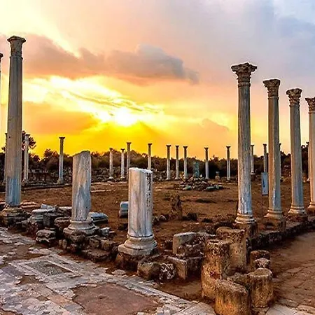 Mimoza Seafront Hotel & Beach 호텔 4*